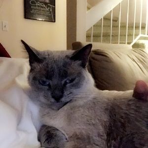 Meet your Posher, Grace